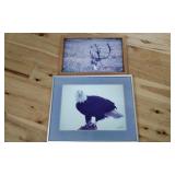 2 Framed Wildlife Photographs