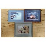 3 Signed  "Pam Hogrland" Framed Prints