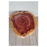 Polished Cross-Cut Red Seadar Tree Stump