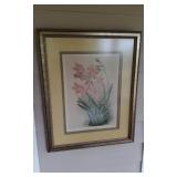 "Laelia Gouldiana" Lithograph Print