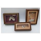 3 Shadow Boxes With Ocean Fossils