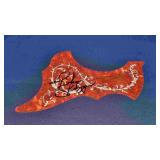 Ricky Skaggs, Autographed Pickguard