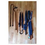 Umbrellas, Cane & Misc.