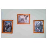 3 Scenic Pictures In Wood Frame.