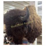 Buffalo mount-40'long,44ï¿½tall should mount