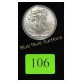 Silver 2015 Eagle Dollar