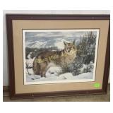 Coyote by N. Glazier-201/750-29x25