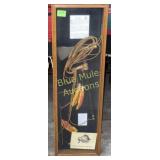 Pipe Hawk Collection in shadow box-33x10