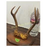 Antlers