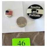Hampshire hog pin & USA flag pin