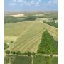 119 Acres of Irrigated Cropland in Gadsden and Decatur Counties
