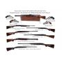 Summer Sportsman Auction