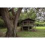 Havana, Florida Investment Opportunity -- Home on 1 Acre