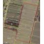 Selling 41.02 +/- Total Acres at 200, 202 & off