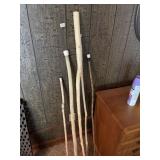 Walking Sticks (5 of them)