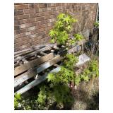 Two Extension Ladders (Werner)