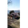 Home on Chowan River at 300 Pocohantas Tr. Edenton