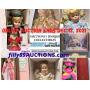 Collectible NEW DOLLS, Bears & Thomas Kinkade Dec 2021