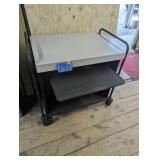 Roll About Cart - With Pull Out Extender