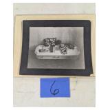 Old B & White Casket Photo