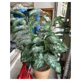 Artificial Plant