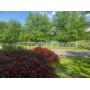 255 North Jackson St. Strasburg, PA 17579