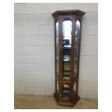 Modern Lighted Mirrored Back Curio Cabinet