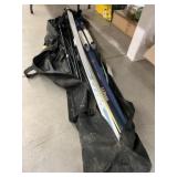 (2) Pairs of Skis with Poles
