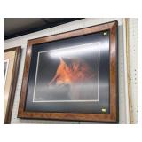 Framed Fox Photograph