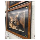 Framed Fox Photograph