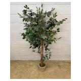 Faux Fig Tree