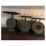 (3) Countertop Family Scales