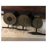 (3) Countertop Family Scales