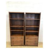 (2) Modern Bookcases