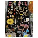 Costume Jewelry Pins