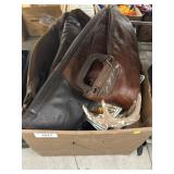 Gun Case, Deer Horns, etc.