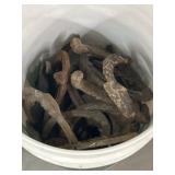 Vtg. Horseshoes