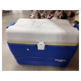 Igloo Cooler