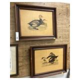 (2) Framed Prints of Waterfowl