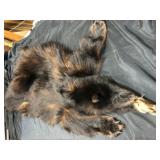 Tanned Black Bear Hide