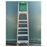 Werner 6 ft Aluminum Ladder