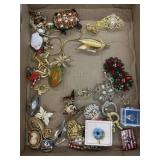 Costume Jewelry Pins