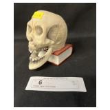 Vintage Japan Skull Nodder