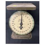25 LB. Family Scale