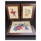 (3) Deborah Framed Theorems