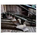 John Deere 5 Bottom Semi Mount Plow