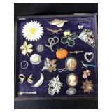 Costume Jewelry Pins