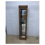 Mirrored Back Lighted Curio Cabinet