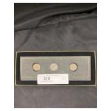 (3) Cased Buffalo Nickels