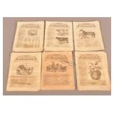 15 Issues 1869 "The Cultivator" Farm Newspapers.